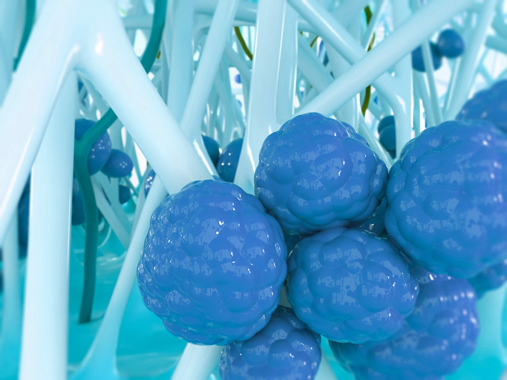 Animazione 3D in ambito medicale